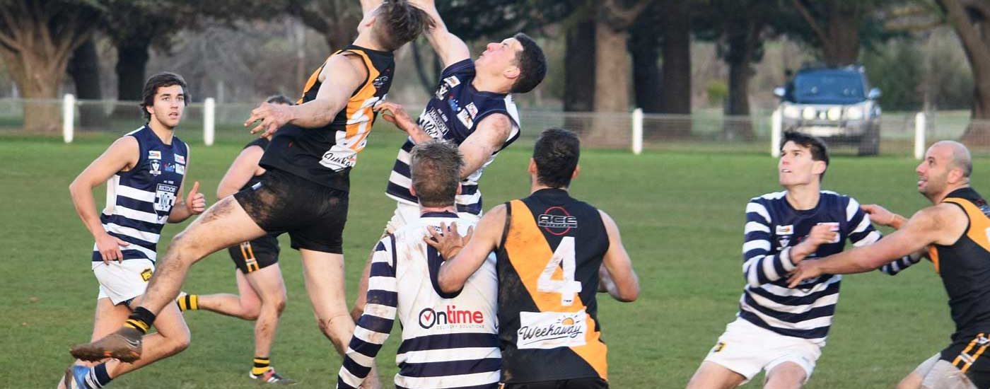 Round 9 - Weekend Overview - Cats Vs Lancefield