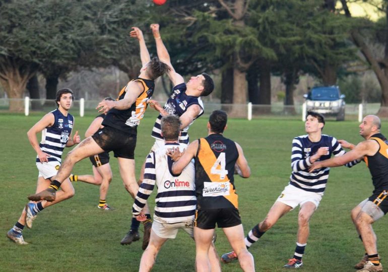 Round 9 - Weekend Overview - Cats Vs Lancefield