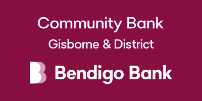 Community Bank Gis & District on plum Logo big CB_PNG
